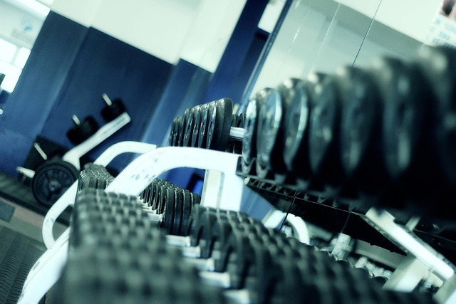 Barbell Basics Explained for Strength Training Beginners in Janesville, WI